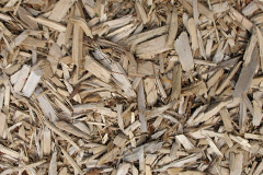 biomass boilers Trevethin
