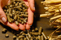 free Trevethin biomass boiler quotes