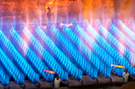 Trevethin gas fired boilers
